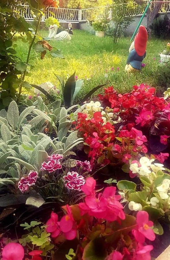 Apartman Nata Senj  Esterno foto